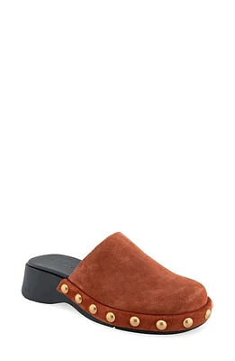 Aerosoles Faye Clog at Nordstrom,