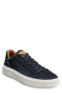 Allen Edmonds Oliver Lace-Up Sneaker Navy at Nordstrom,