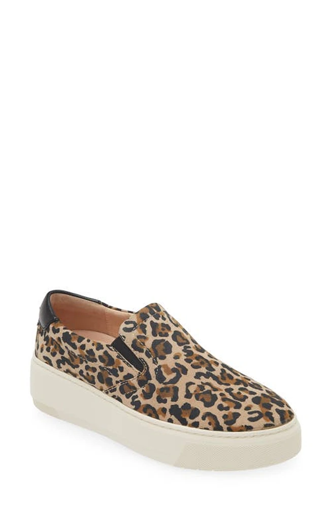 FRANKIE4 Maxwell Slip-On Sneaker Leopard at Nordstrom,