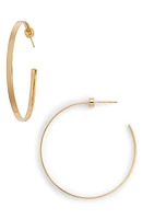 Jennifer Zeuner Kiara Hoop Earrings in Yellow Vermeil at Nordstrom