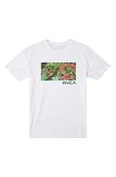 RVCA Balance Box Logo Graphic T-Shirt at Nordstrom,