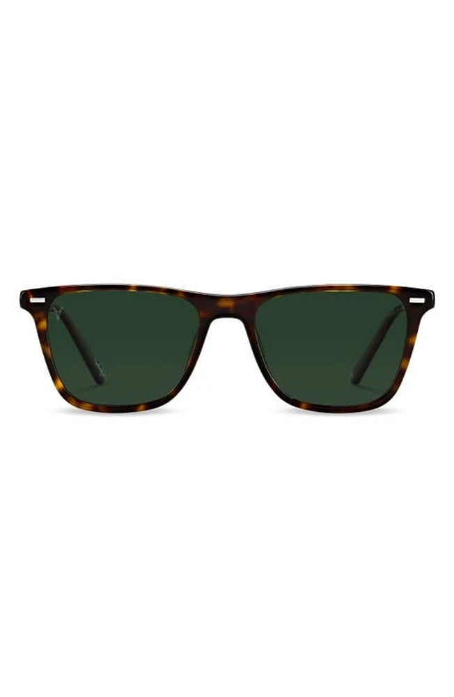 Vincero Atwater 51mm Polarized Rectangle Sunglasses in Brindle Tortoise Green at Nordstrom