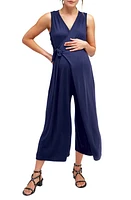 Nom Maternity Francesca Wide Leg Maternity/Nursing Jumpsuit at Nordstrom,