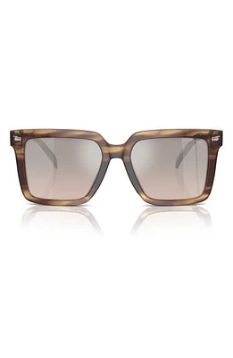 Michael Kors Abruzzo 55mm Square Sunglasses in Brown Horn at Nordstrom