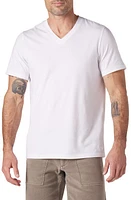 The Normal Brand Puremeso V-Neck T-Shirt at Nordstrom,