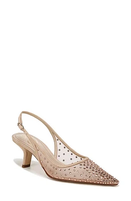 Sam Edelman Bianka Slingback Pointed Toe Pump at Nordstrom,