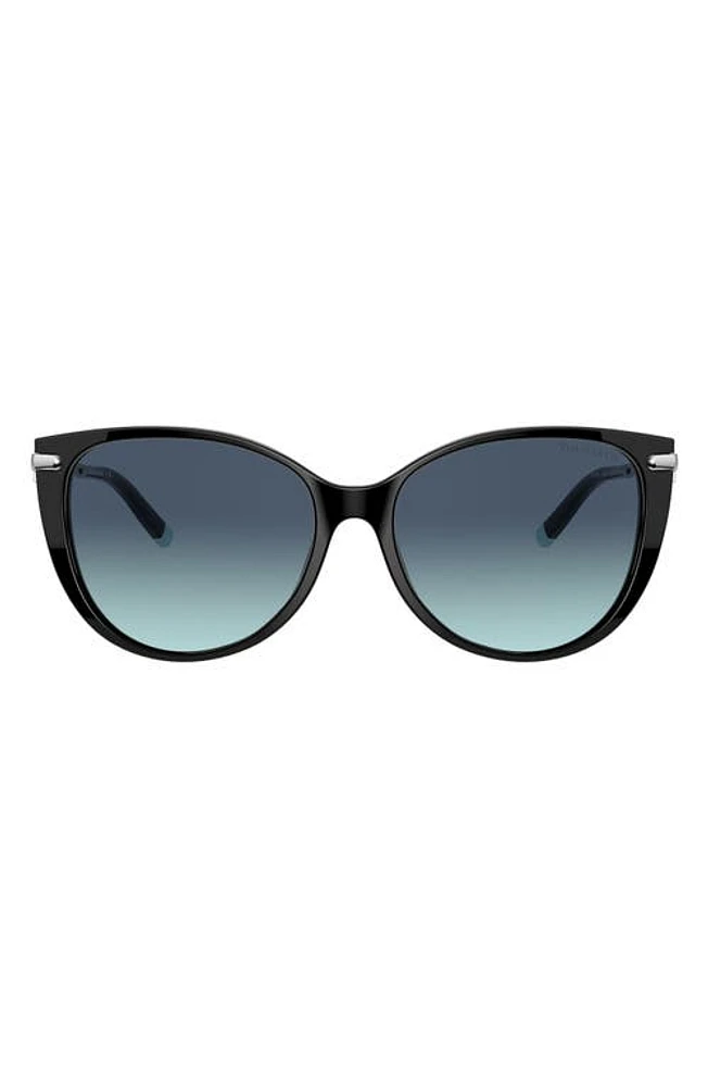 Tiffany & Co. 57mm Gradient Cat Eye Sunglasses in Black/Azure Gradient Blue at Nordstrom