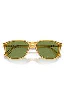 Persol 52mm Square Sunglasses in Dark Green at Nordstrom