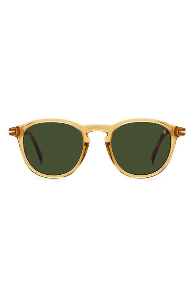 David Beckham Eyewear 49mm Round Sunglasses in Yellow Havana Brown at Nordstrom