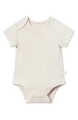 MORI Ribbed Short Sleeve Bodysuit in Ecru at Nordstrom