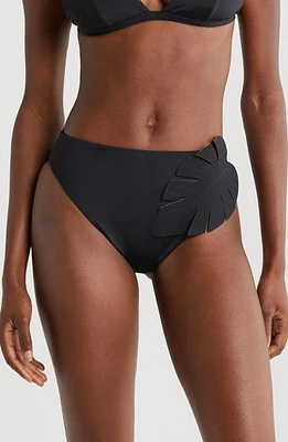 FARM Rio Palm Appliqué Bikini Bottoms Black at Nordstrom,