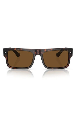 Prada 59mm Polarized Rectangular Sunglasses in Havana at Nordstrom