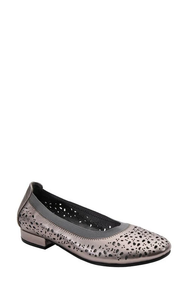 David Tate Laser Cut Ballet Flat Calf at Nordstrom,