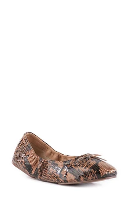 Seychelles Breathless Ballet Flat in Cognac at Nordstrom, Size 11