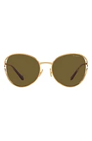 Miu Miu 58mm Phantos Sunglasses in Dark Brown at Nordstrom