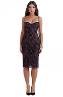 HOUSE OF CB Escala Lace Dress Black at Nordstrom, A