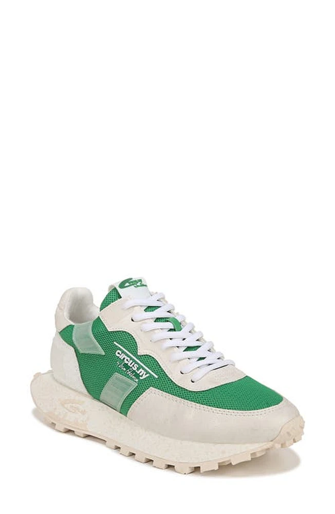 Circus NY by Sam Edelman Devyn Sneaker in White/Green at Nordstrom, Size 8