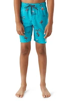 O'Neill Hermosa Swim Trunks at