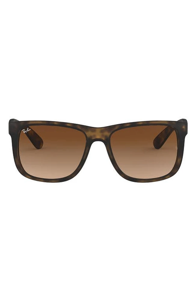 Ray-Ban Justin 54mm Polarized Sunglasses in Matte Havana at Nordstrom