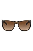 Ray-Ban Justin 54mm Polarized Sunglasses in Matte Havana at Nordstrom