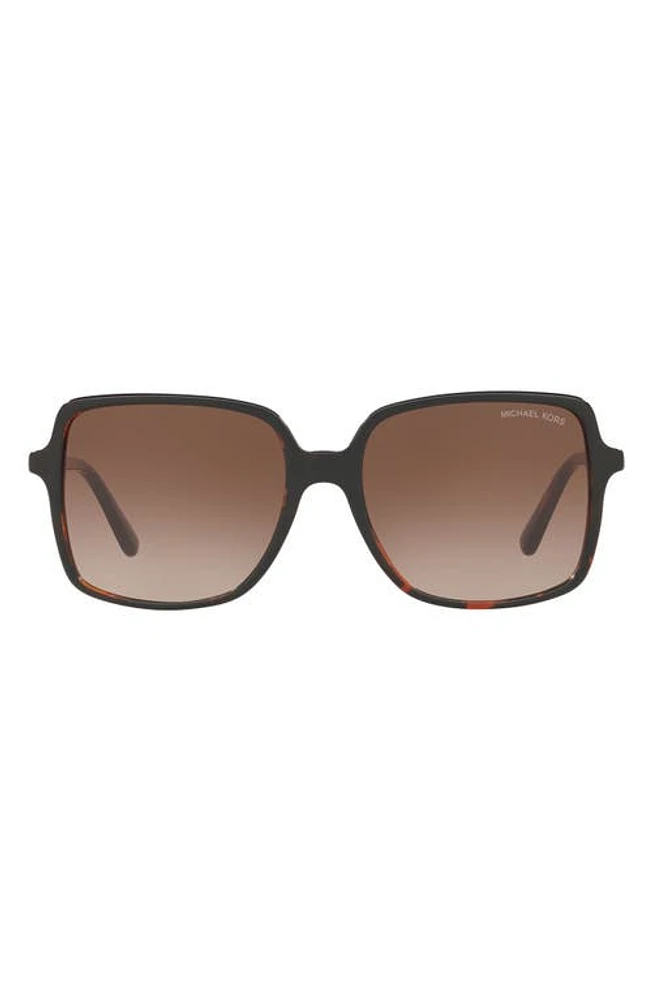 Michael Kors 56mm Gradient Square Sunglasses in New Tortoise/Smoke Gradient at Nordstrom