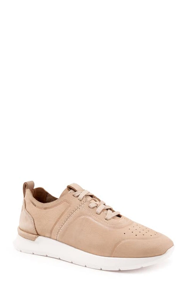 SoftWalk Stella Sneaker Nude Nubuck at Nordstrom,