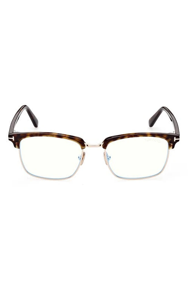 TOM FORD 54mm Browline Blue Light Blocking Glasses in Dark Havana at Nordstrom