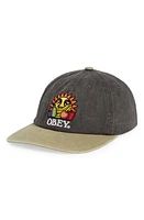 Obey Fruit Snapback Baseball Cap in Pigment Black Multi at Nordstrom