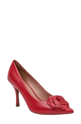 Linea Paolo Primrose Pointed Toe Pump at Nordstrom, M