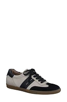 Paul Green Tilly Sneaker at Nordstrom,