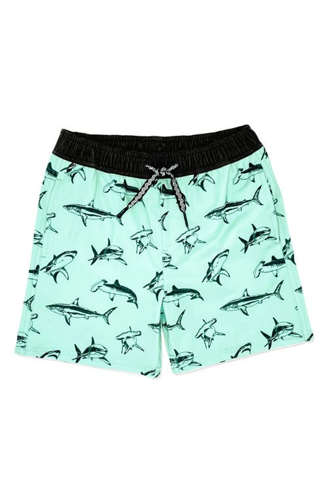 Feather 4 Arrow Sea Kings Swim Trunks Green at Nordstrom,