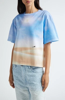 Rabanne Desert Cotton Graphic T-Shirt White at Nordstrom, Us