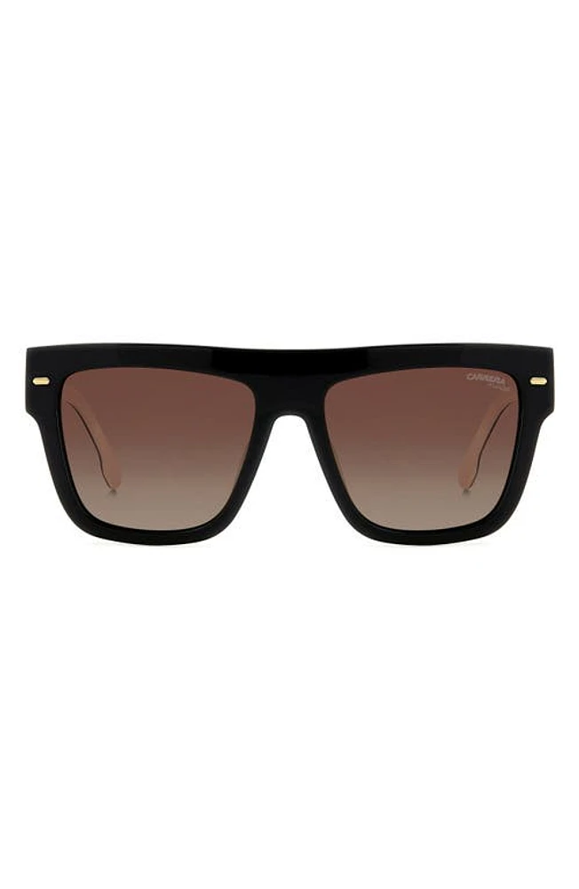 Carrera Eyewear 55mm Flat Top Sunglasses in Black White/Brown Polar at Nordstrom