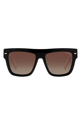 Carrera Eyewear 55mm Flat Top Sunglasses in Black White/Brown Polar at Nordstrom