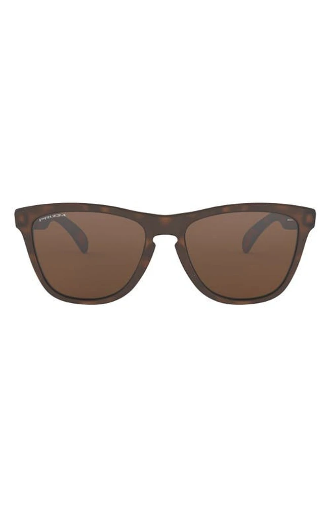 Oakley Frogskins 55mm Square Sunglasses in Brown Tortoise/Brown at Nordstrom