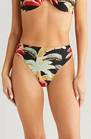 FARM Rio Coconut Night Bikini Bottoms Black at Nordstrom,