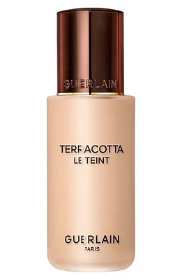 Guerlain Terracotta Le Teint Healthy Glow Foundation in 2N Neutral at Nordstrom