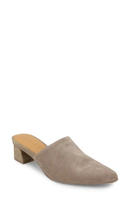 Splendid Lorelei Mule Ermine at Nordstrom,