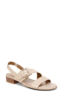 Naturalizer WOMENS MEESHA SLINGBACK Coastal Tan Croco Leather at Nordstrom,