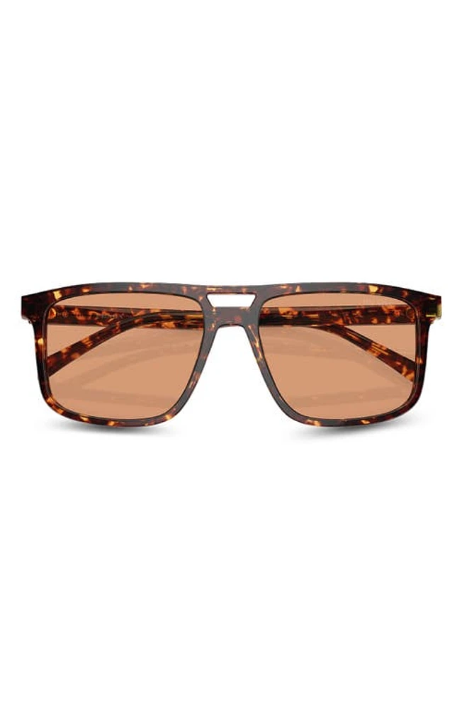 Prada 56mm Rectangular Sunglasses in Havana/Orange at Nordstrom