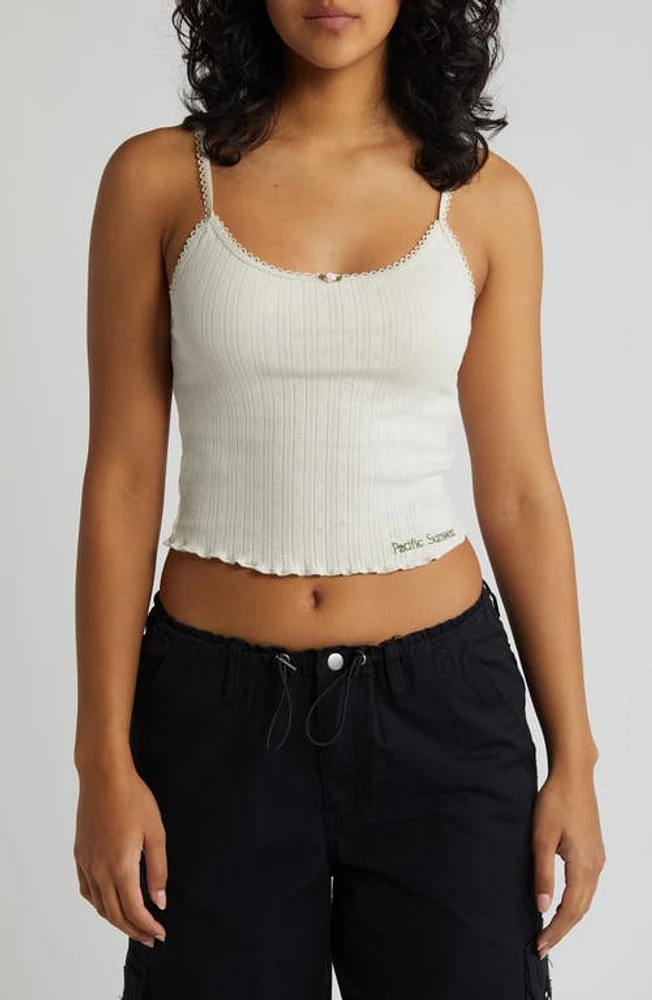 PacSun Pointelle Camisole Off White at Nordstrom,