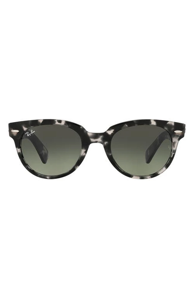 Ray-Ban 52mm Gradient Round Sunglasses in Gray Havana/Grey Dark Grey at Nordstrom