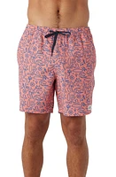 O'Neill Hermosa Swim Trunks at Nordstrom,