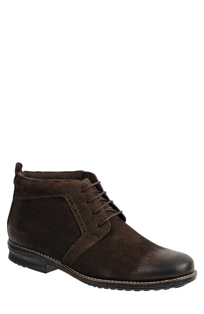 Sandro Moscoloni Vandick Chukka Boot Brown at Nordstrom,