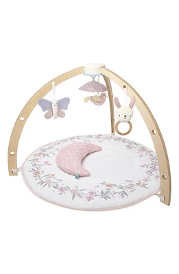 aden + anais Play & Discover Baby Activity Gym in Ma Fleur Pink at Nordstrom