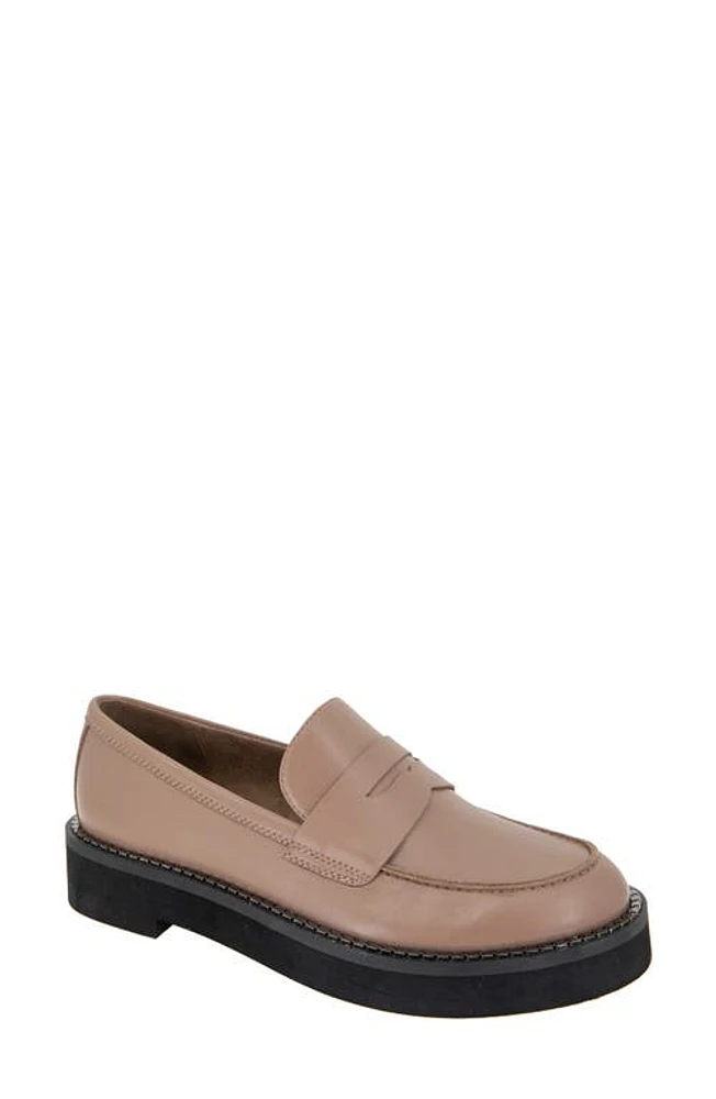 bcbg Sabin Penny Loafer Taupe at Nordstrom,