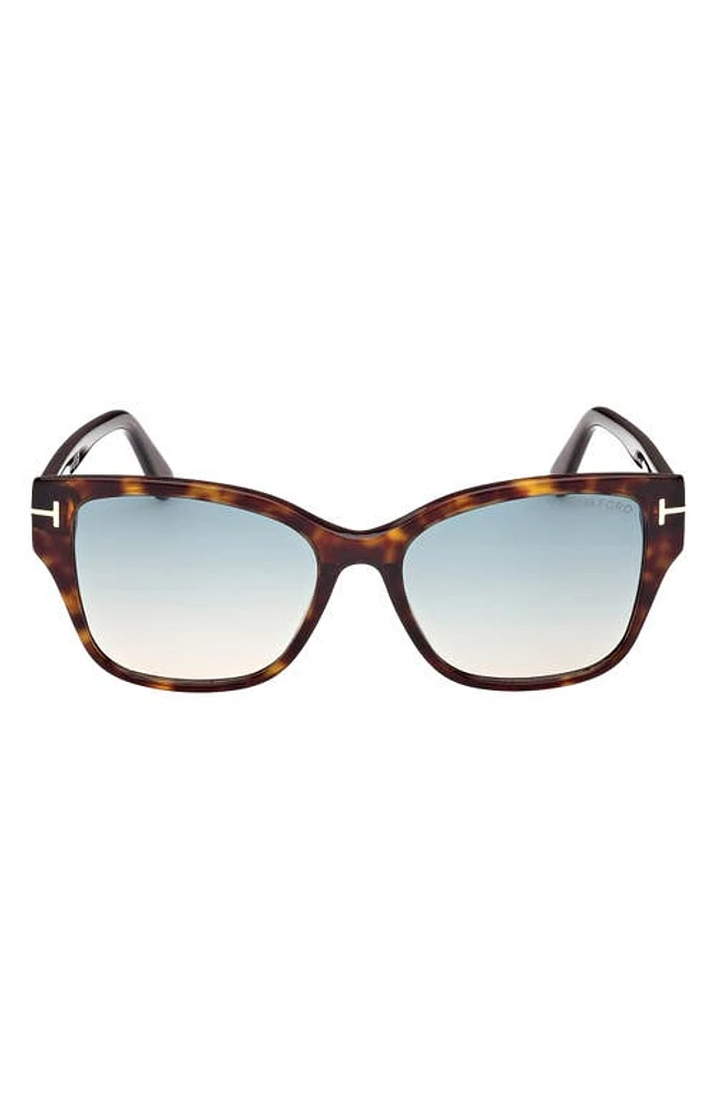 TOM FORD Elsa 55mm Butterfly Sunglasses in Dark Havana /Turquoise Sand at Nordstrom