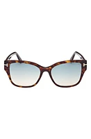 TOM FORD Elsa 55mm Butterfly Sunglasses in Dark Havana /Turquoise Sand at Nordstrom