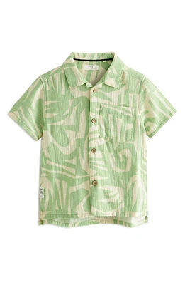 NEXT Kids' Abstract Print Cotton Camp Shirt in Green at Nordstrom, Size 6-7Y