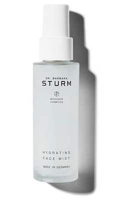 Dr. Barbara Sturm Hydrating Face Mist at Nordstrom